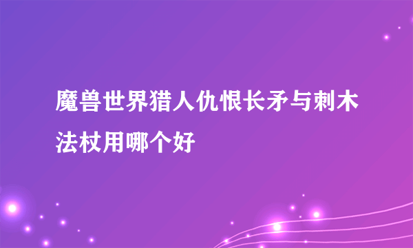 魔兽世界猎人仇恨长矛与刺木法杖用哪个好