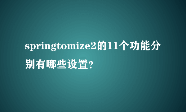 springtomize2的11个功能分别有哪些设置？