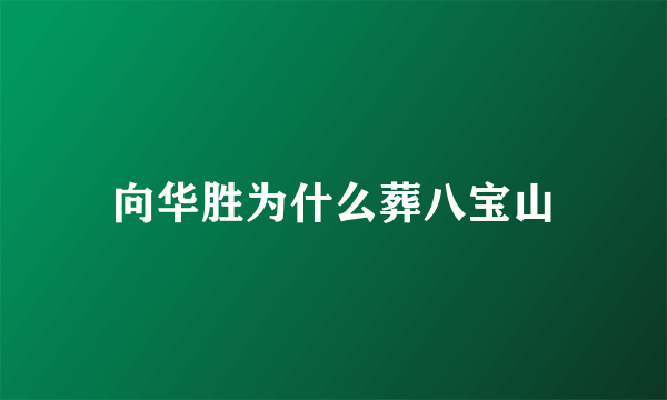 向华胜为什么葬八宝山