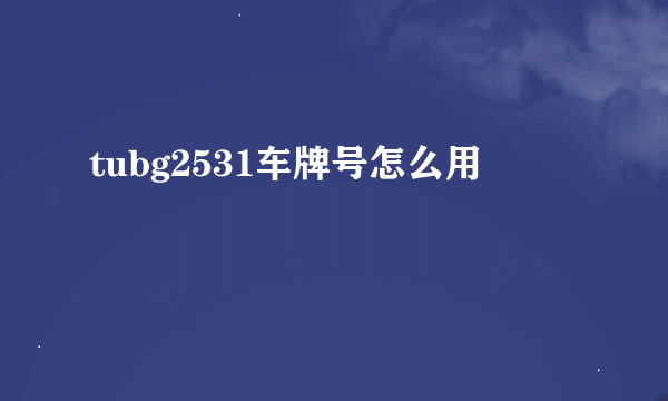 tubg2531车牌号怎么用