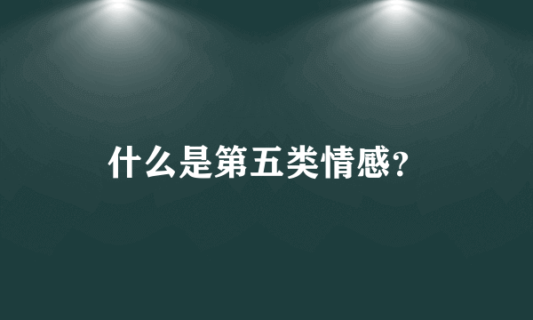什么是第五类情感？