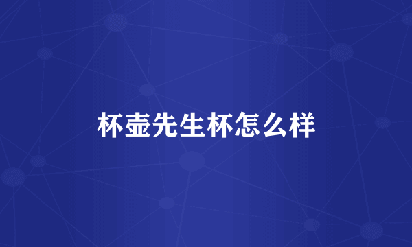 杯壶先生杯怎么样
