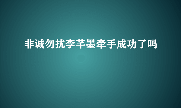 非诚勿扰李芊墨牵手成功了吗
