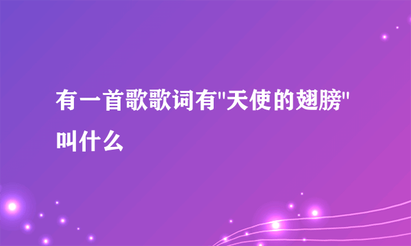 有一首歌歌词有