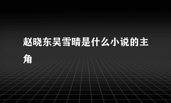 赵晓东吴雪晴是什么小说的主角
