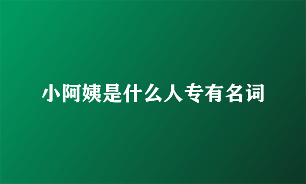 小阿姨是什么人专有名词