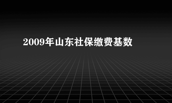 2009年山东社保缴费基数