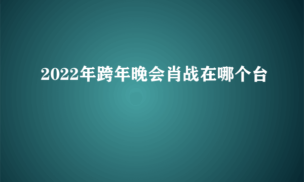 2022年跨年晚会肖战在哪个台