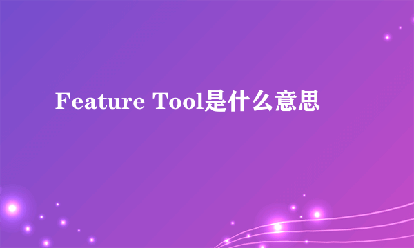 Feature Tool是什么意思