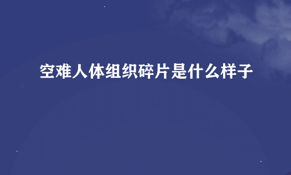 空难人体组织碎片是什么样子