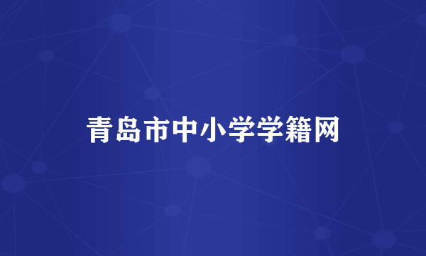 青岛市中小学学籍网