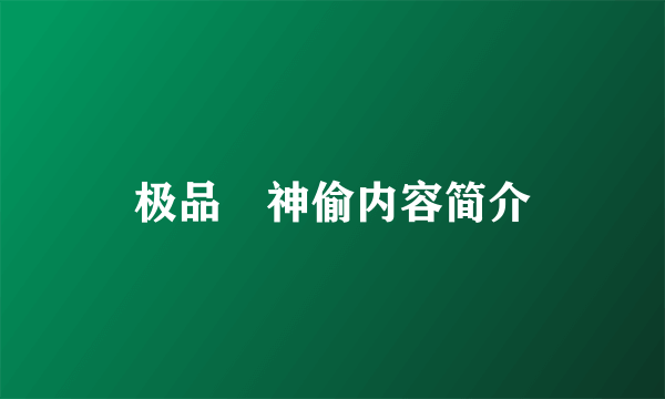 极品囧神偷内容简介