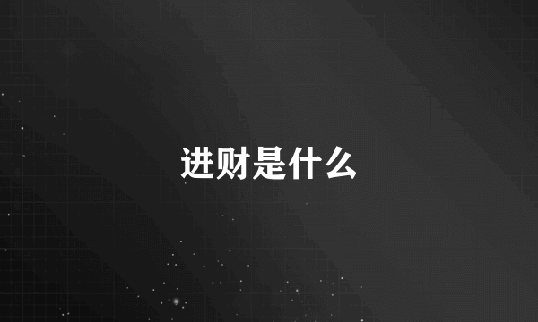 进财是什么