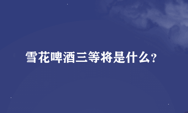 雪花啤酒三等将是什么？
