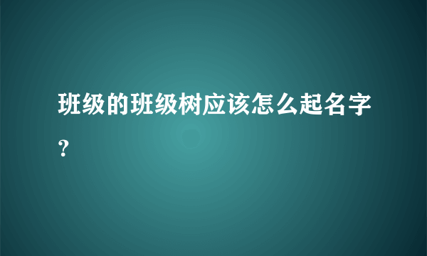 班级的班级树应该怎么起名字？