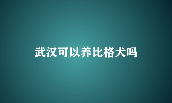 武汉可以养比格犬吗