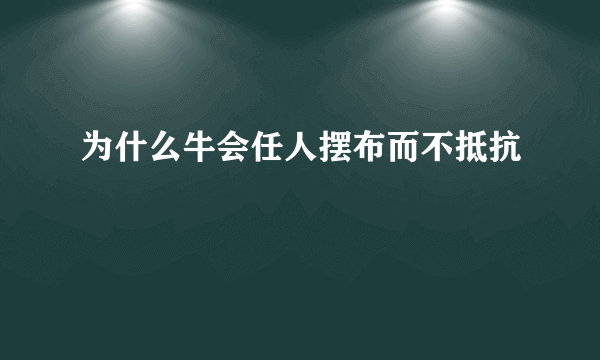 为什么牛会任人摆布而不抵抗