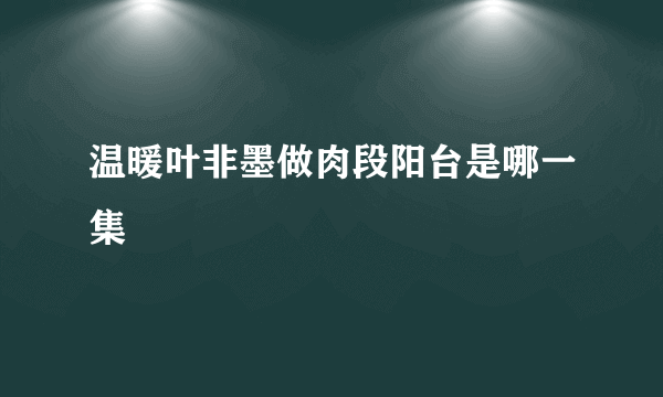 温暖叶非墨做肉段阳台是哪一集