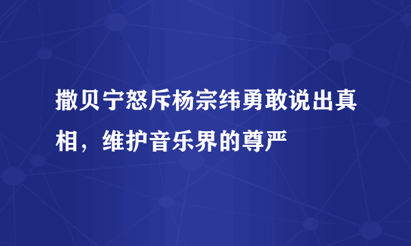 撒贝宁怒斥杨宗纬勇敢说出真相，维护音乐界的尊严