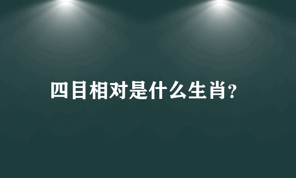 四目相对是什么生肖？