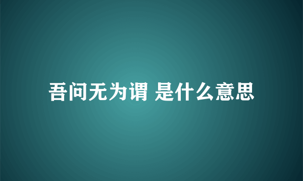 吾问无为谓 是什么意思