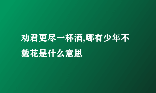 劝君更尽一杯酒,哪有少年不戴花是什么意思