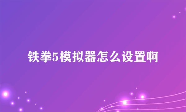 铁拳5模拟器怎么设置啊