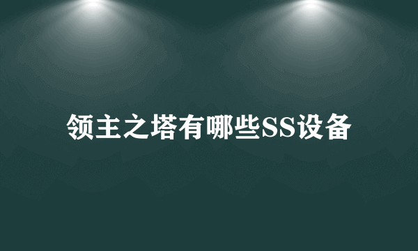 领主之塔有哪些SS设备