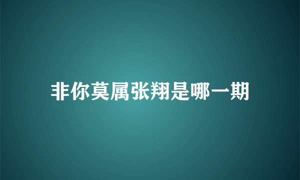 非你莫属张翔是哪一期