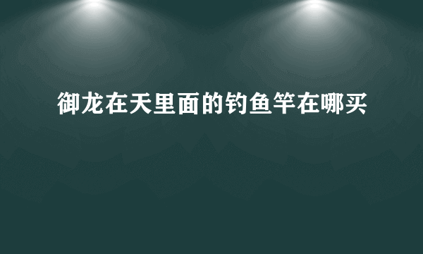 御龙在天里面的钓鱼竿在哪买