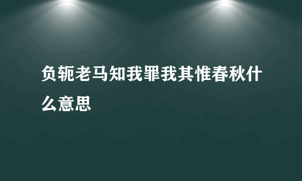 负轭老马知我罪我其惟春秋什么意思