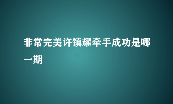 非常完美许镇耀牵手成功是哪一期