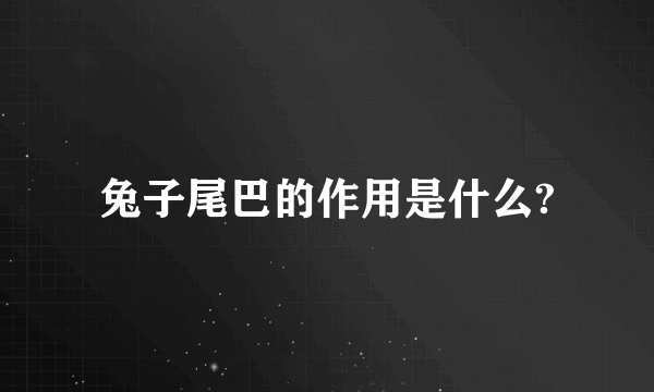 兔子尾巴的作用是什么?