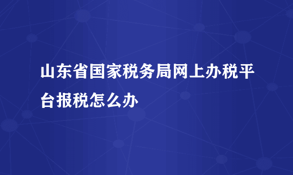 山东省国家税务局网上办税平台报税怎么办