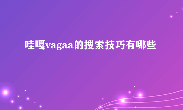 哇嘎vagaa的搜索技巧有哪些