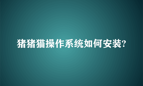 猪猪猫操作系统如何安装?