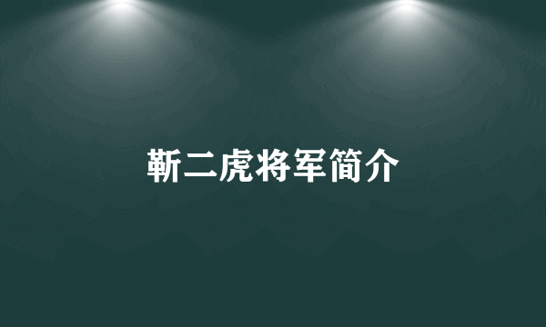 靳二虎将军简介