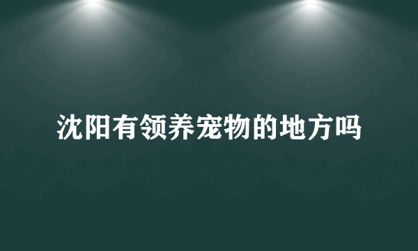 沈阳有领养宠物的地方吗