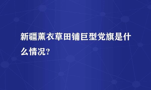 新疆薰衣草田铺巨型党旗是什么情况?