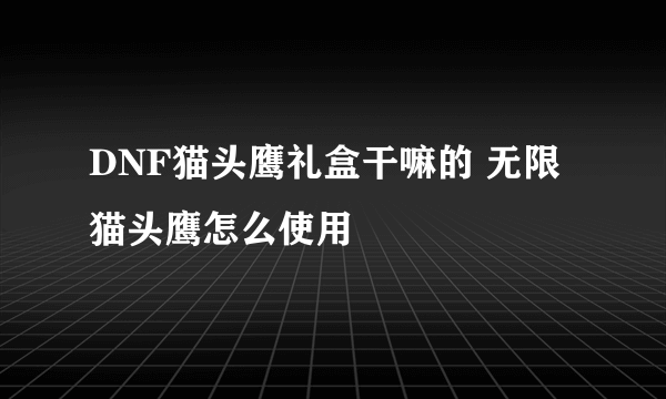 DNF猫头鹰礼盒干嘛的 无限猫头鹰怎么使用