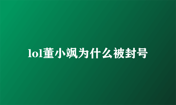 lol董小飒为什么被封号