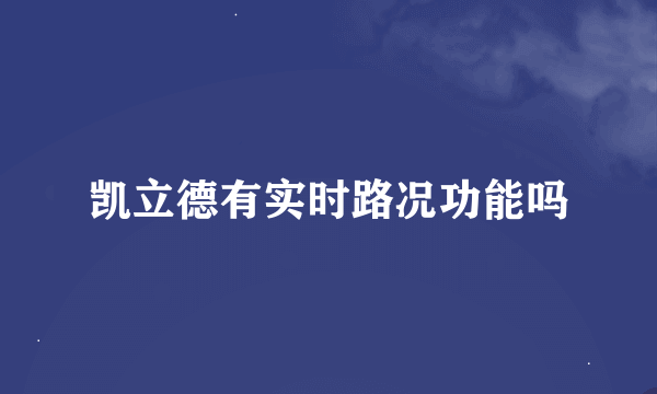 凯立德有实时路况功能吗