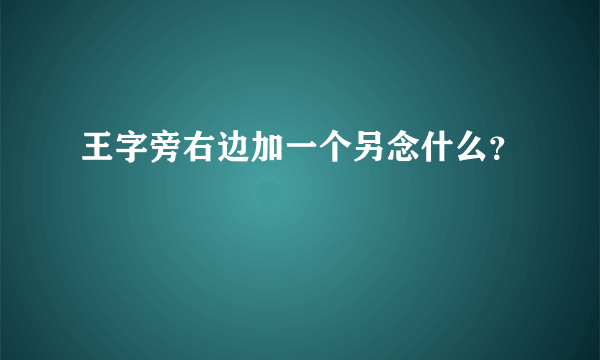 王字旁右边加一个另念什么？