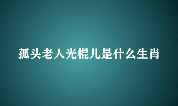 孤头老人光棍儿是什么生肖