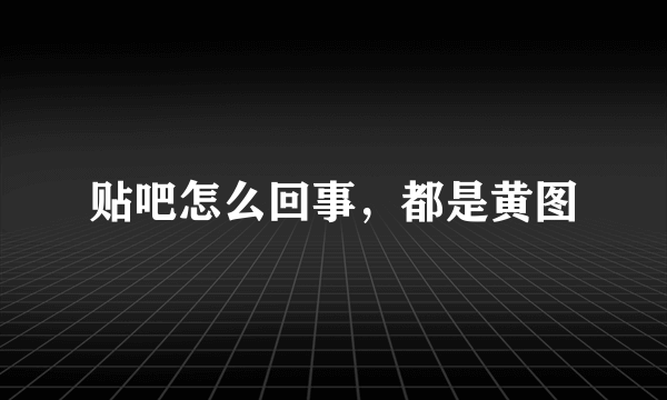 贴吧怎么回事，都是黄图
