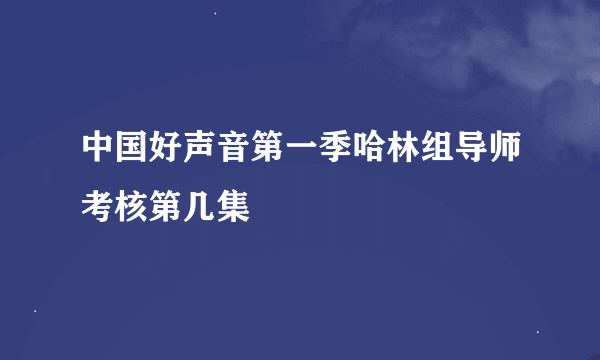 中国好声音第一季哈林组导师考核第几集