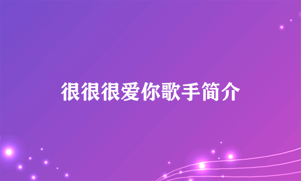 很很很爱你歌手简介