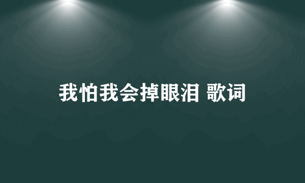 我怕我会掉眼泪 歌词