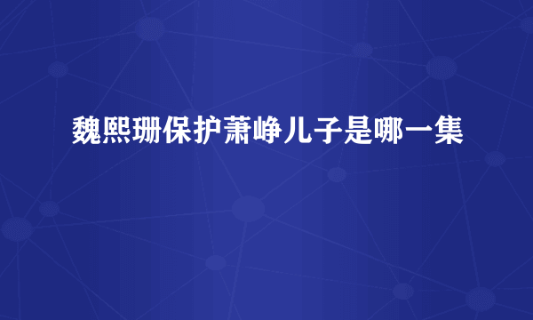 魏熙珊保护萧峥儿子是哪一集