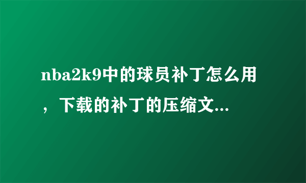 nba2k9中的球员补丁怎么用，下载的补丁的压缩文件解压后，把哪个文件夹放到SAVE里面去才可以啊？